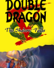 Double Dragon V: The Shadow Falls