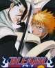 Bleach: Heat the Soul 2