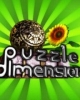 Puzzle Dimension