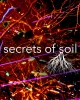 Secrets of Soil