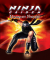 Ninja Gaiden: Dragon Sword