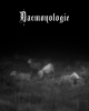 Daemonologie