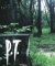P.T.