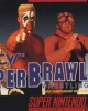 WCW Super Brawl Wrestling