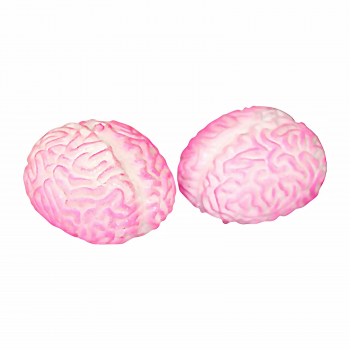 20250522134506_af41f824.png