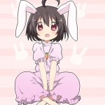 chikub88
